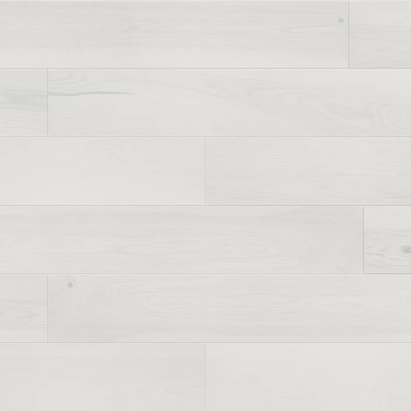 Lemon sorbet Grande photo2